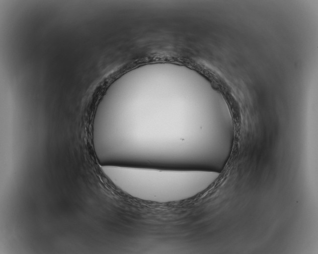 X0000088401207200705220814