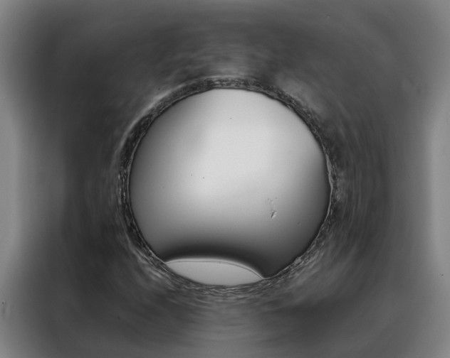 X0000088401208200705220814