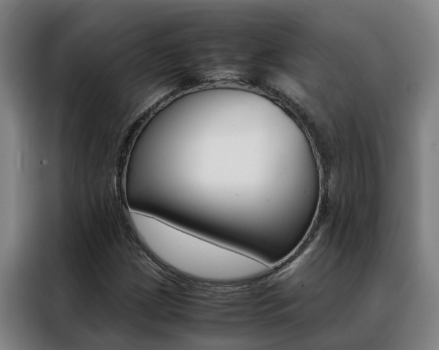X0000088401209200705220814