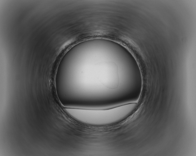 X0000088401210200705220814