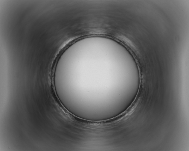 X0000088401212200705220814
