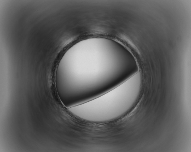X0000088401213200705220814