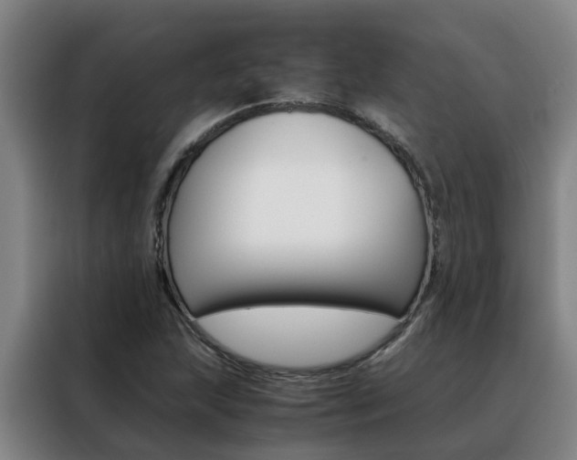 X0000088401215200705220814