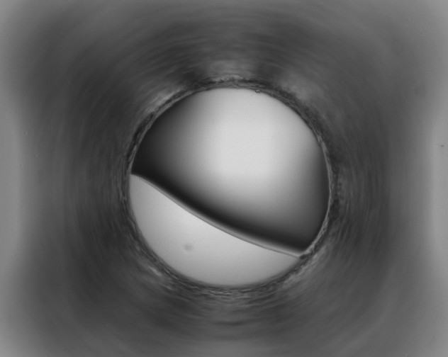 X0000088401217200705220814