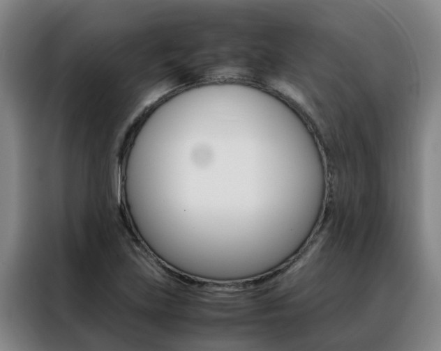 X0000088401219200705220814
