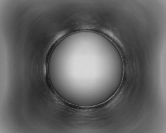 X0000088401221200705220814