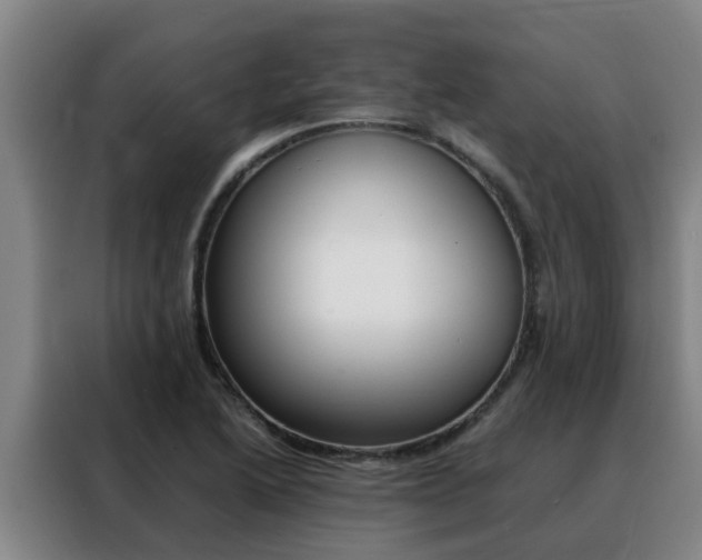 X0000088401222200705220814