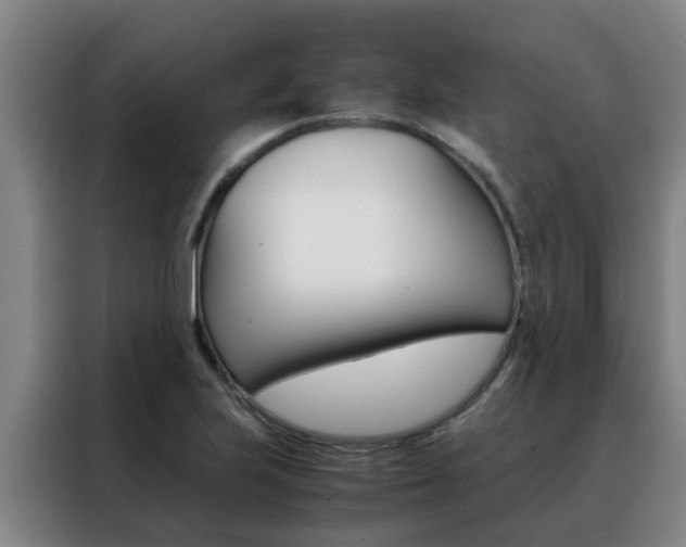 X0000088401223200705220814