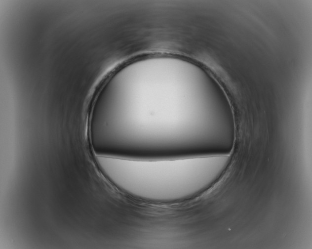 X0000088401224200705220814
