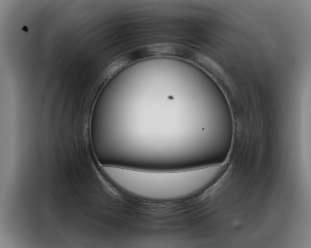 X0000088401225200705220814