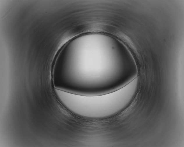 X0000088401226200705220814