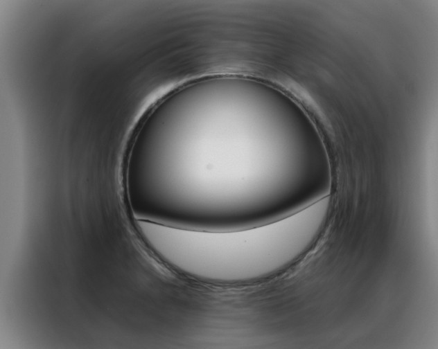 X0000088401230200705220815
