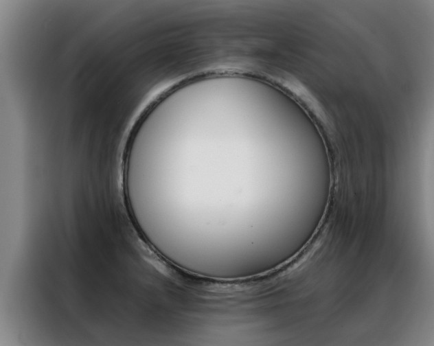 X0000088401232200705220815