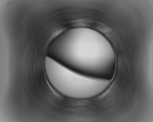 X0000088401233200705220815