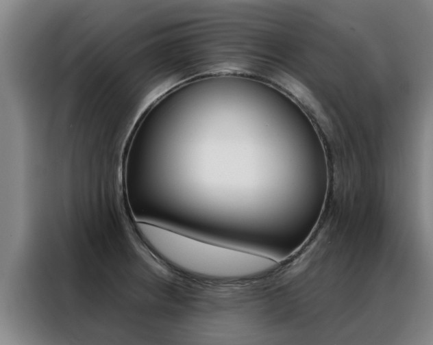 X0000088401234200705220815