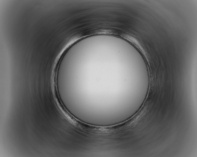 X0000088401235200705220815