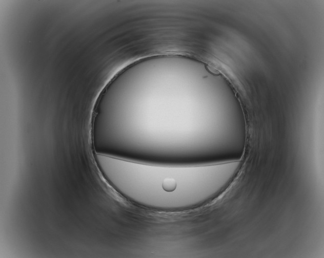 X0000088401236200705220815