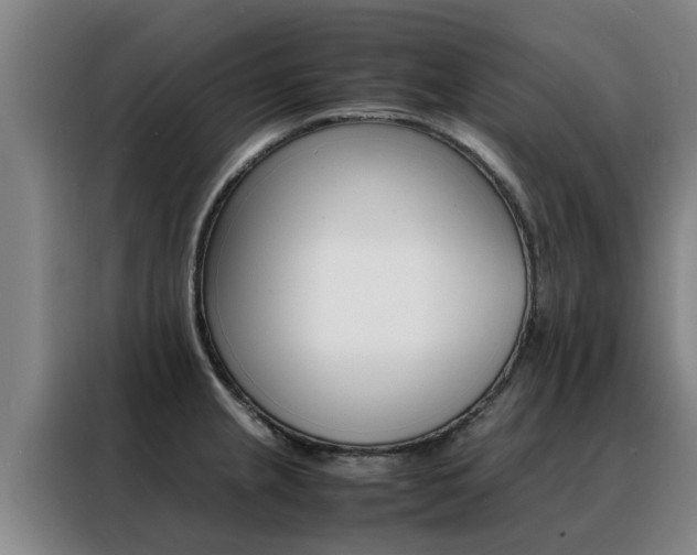 X0000088401237200705220815