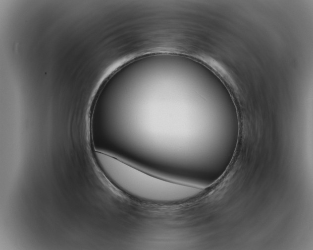 X0000088401238200705220815