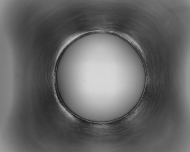 X0000088401239200705220815