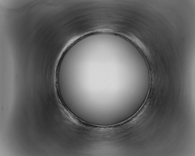 X0000088401240200705220815