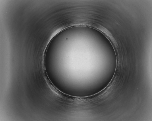 X0000088401242200705220815