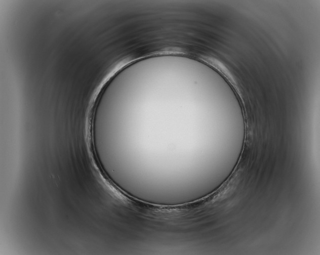 X0000088401243200705220815