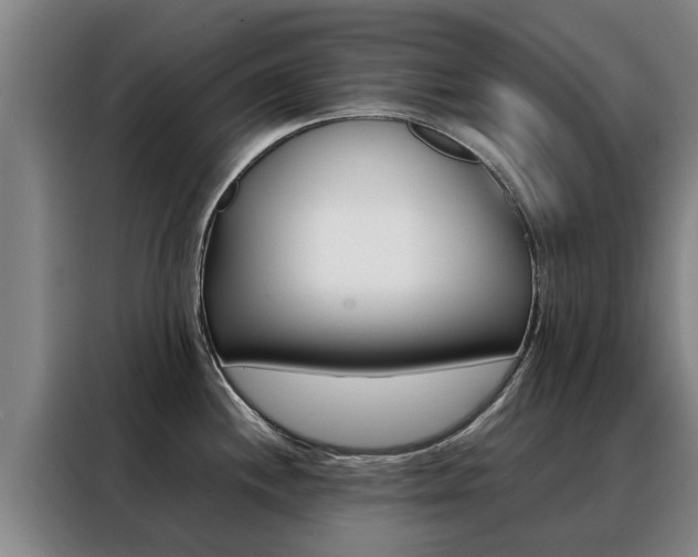 X0000088401244200705220815