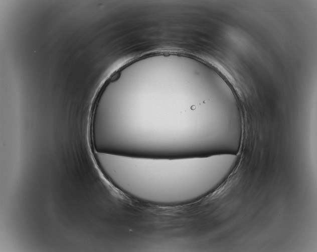 X0000088401245200705220815