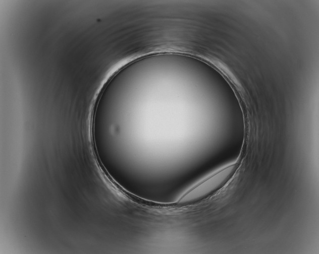 X0000088401246200705220815