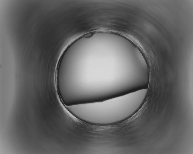 X0000088401247200705220815