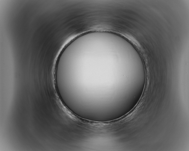 X0000088401248200705220815