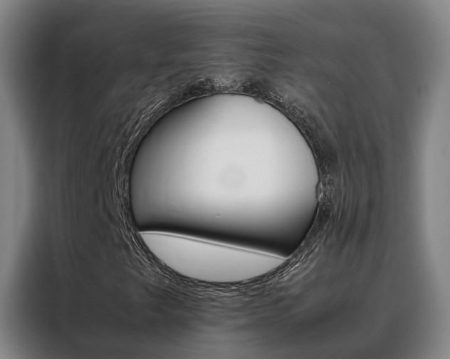 X0000088401249200705220814
