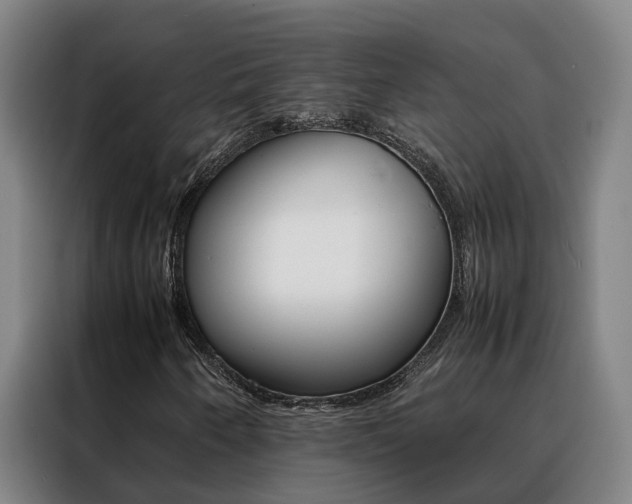 X0000088401250200705220814