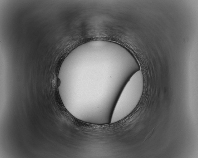 X0000088401251200705220814