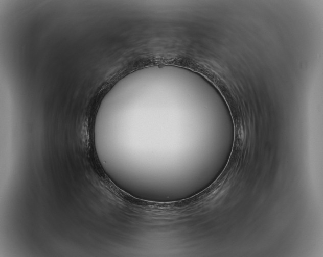 X0000088401252200705220814