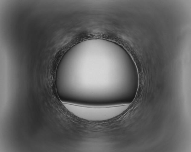 X0000088401253200705220814