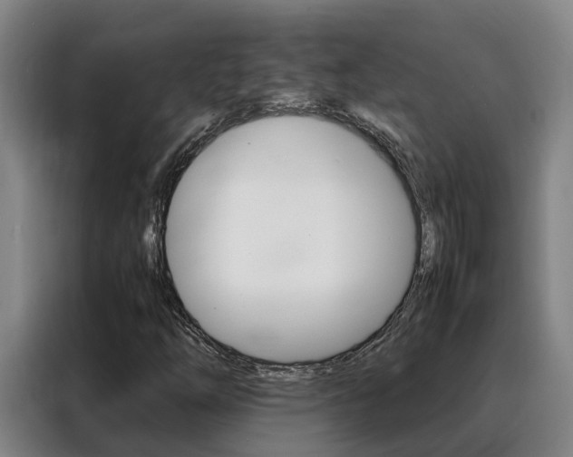 X0000088401254200705220814