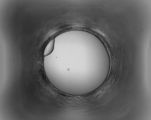 X0000088401255200705220814