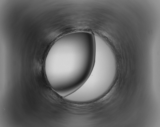 X0000088401257200705220814
