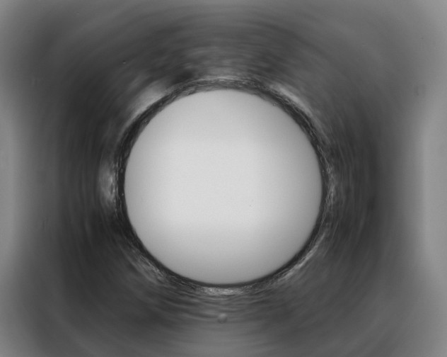 X0000088401258200705220814