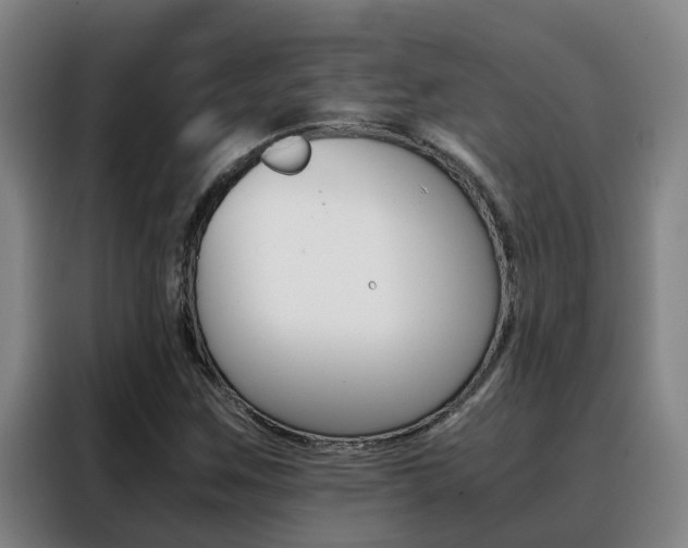X0000088401259200705220814
