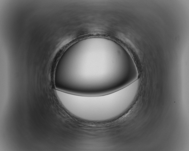 X0000088401261200705220814