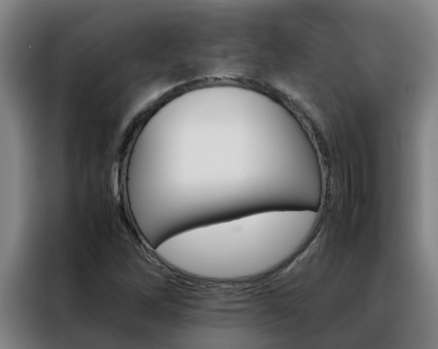X0000088401262200705220814