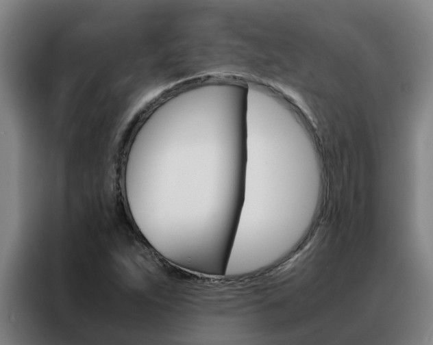 X0000088401263200705220814