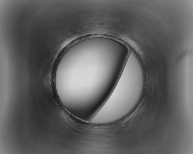 X0000088401264200705220814