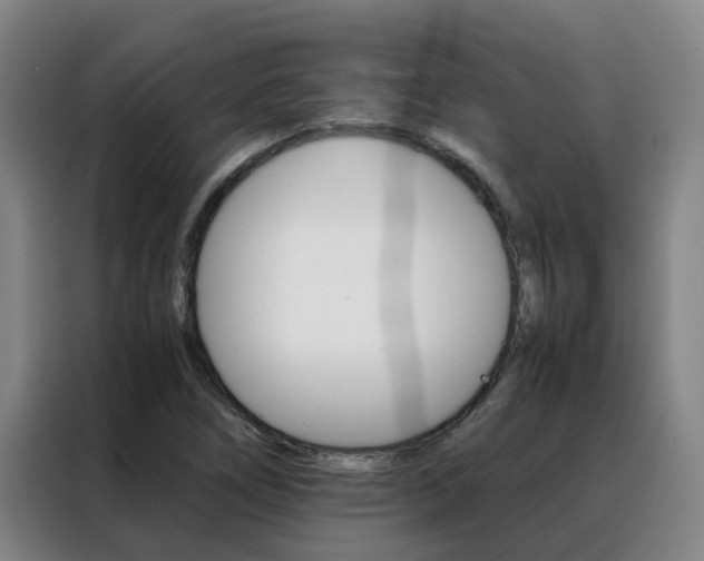 X0000088401266200705220814