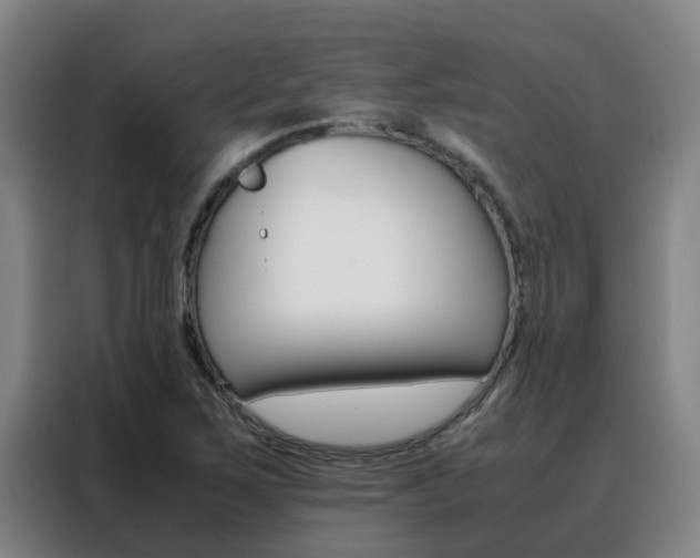 X0000088401267200705220814