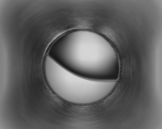 X0000088401268200705220814