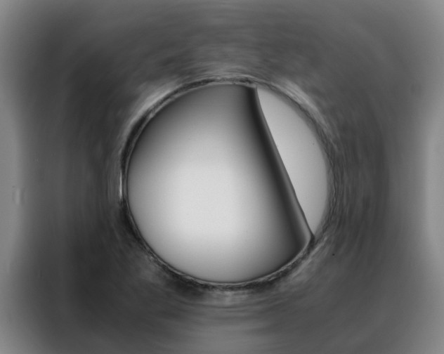 X0000088401269200705220814